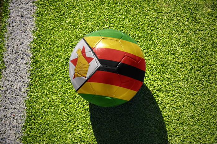 The Zimbabwean players who made their name in European football