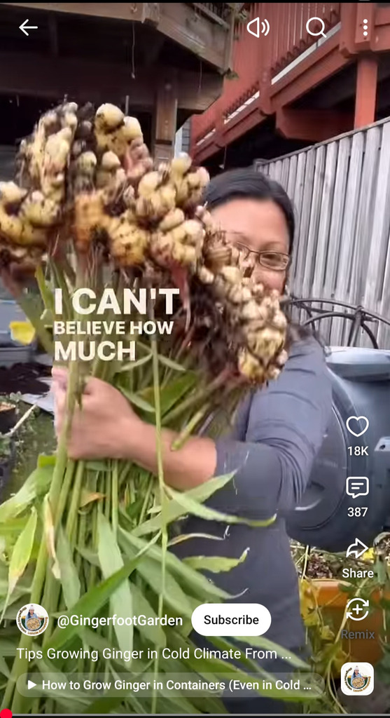 20093014_screenshot20260819173212youtube_jpeg9069fa6cdd8fe4953b1d8544bde159cf