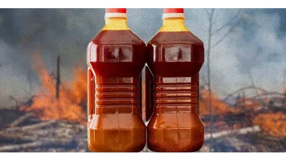 Lagos State Agency Warns Residents Over Adulterated Palm Oil Linked To Cancer